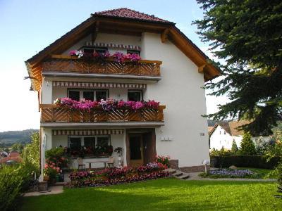 Villa Bellevue Waldkappel Esterno foto